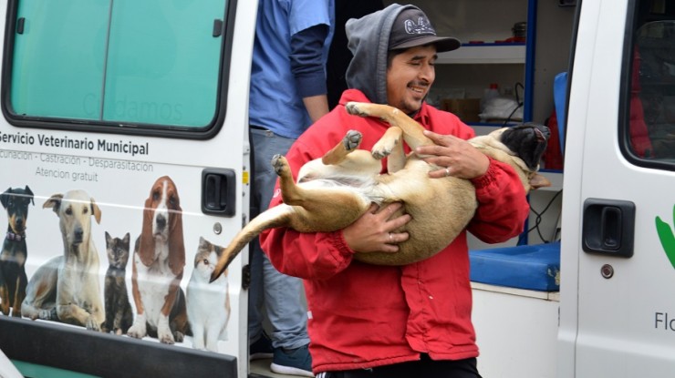 Móvil veterinario en Agustín Ramírez  y Santa Ana   